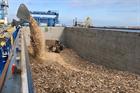 Bioenergy ‘indispensable’ for 100% renewable power across the EU