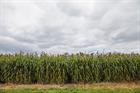 ETI calls for more biomass production