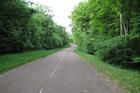 Coronavirus: Industry raises climate concerns over biofuel production