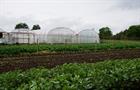 Farmers back bioenergy to cut emissions
