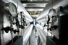 Why business is hotting up for EfW