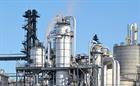 Funding to commercialise biomass-to-biofuel technology