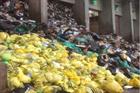 Viridor says Beddington EfW operating within permit after ‘overflowing’ waste images