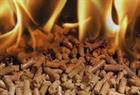 ENplus-certified pellets reach record level