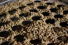 Dalkia opens Saint-Affrique biomass-fired heating network