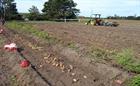 Biomass plant ‘too big to be small-scale’