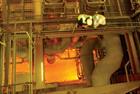 Veolia biomass and biogas energy solution