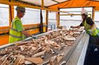 Bioenergy sector relieved as post-consumer waste wood rules left unchanged