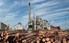 First waste-wood FPP agreed