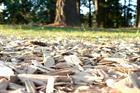Domestic wood burning behind rise in particulate emissions