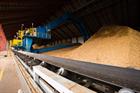 Burkhardt strikes biomass-gasification boiler deal