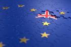 'If we have entered the Brexit endgame, the industry needs to understand the ramifications'
