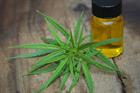 What you need to know about cannabis at events