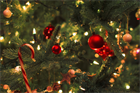 Merry Christmas to all our readers
