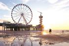 Dutch delights: Rotterdam, Amsterdam and The Hague