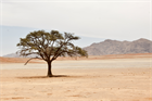 How to make your events business more resilient
