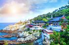 Busan to host International Microscopy Conference in 2022