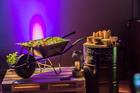 Prague claims its first 'completely sustainable' event