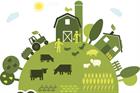 Masterchef winner explains the importance of sustainability
