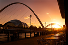 Specialist immune system conference heads to the UK in 2022