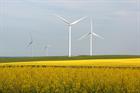 Bid prices on the rise in Alberta auction