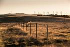 Iberdrola outbids rival for Australian renewables player - updated