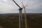 Dutch investor enters South America