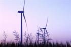 Ontario court overturns halt to EDPR wind farm