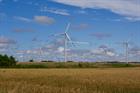 Low bids of €36.53/MWh in Polish tender -- updated