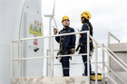 Wider renewables sector outpaces wind for job growth