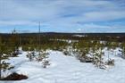 Appeal court approves 1.8GW Swedish project