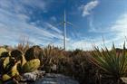Wind supplies more than coal in Texas