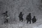 Vattenfall scraps project after Swedish military veto