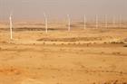 Pakistan 'lacks clear strategy', says WWEA