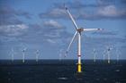 German offshore wind industry demands action after expansion slows