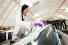 ‘Melting’ blades offer glimpse of recyclable future