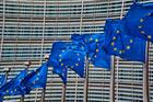 Renewables sector in EU permitting plea