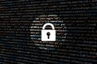 Underwriter launches cyber risk policy