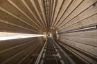 Vattenfall to work with wooden tower manufacturer