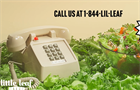 Phone on bed of lettuce leaves