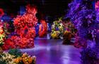 The immersive Bloomtanica floral experience at Genesis House