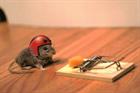 How are you managing business risk?