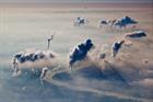 Climate change: The unintended benefit of coronavirus