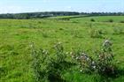 Gravesham moots green belt changes to meet 2,000-home shortfall