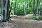 Inspector finds special circumstances to justify new homes in Essex green belt