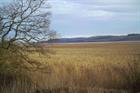 NPPF revised to clarify presumption penalty exemption around protected habitats