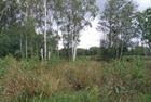Plans for 516 homes on York green belt refused due to environmental impact