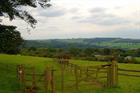 Gloucestershire council adopts 8,400-home local plan