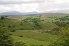 Plans submitted for Northern Ireland gold mine