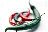 Red and green chilli peppers (Capsicum) SPL